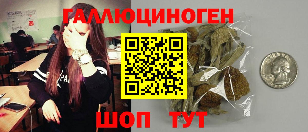Псилоцибиновые грибы мухоморы  Галлюциногенные грибы Cubensis  Изобильный  Вход с VPN 